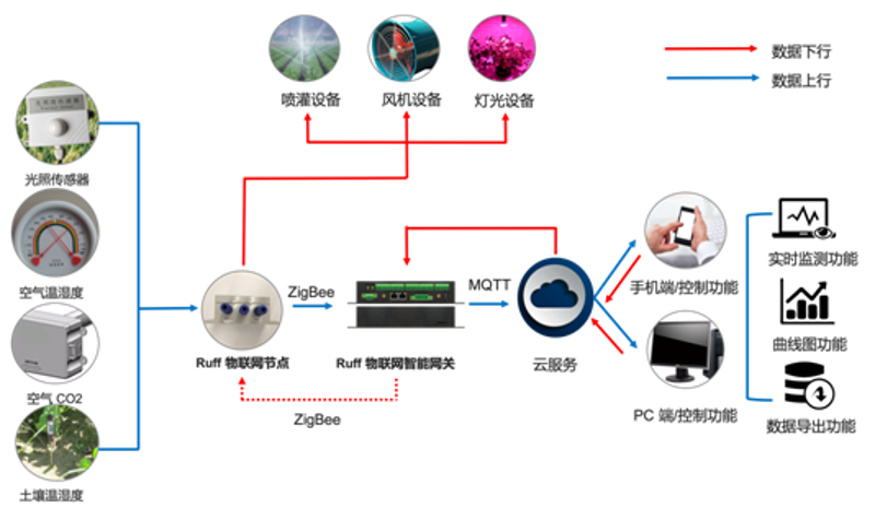 农业技术引领未来