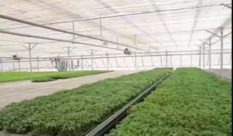 农业技术推广服务引领科技革命