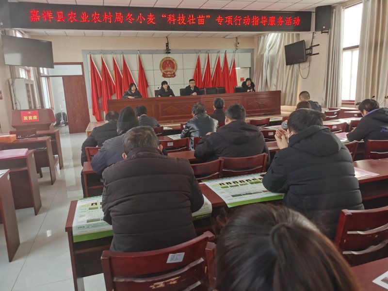 农业技术引领未来